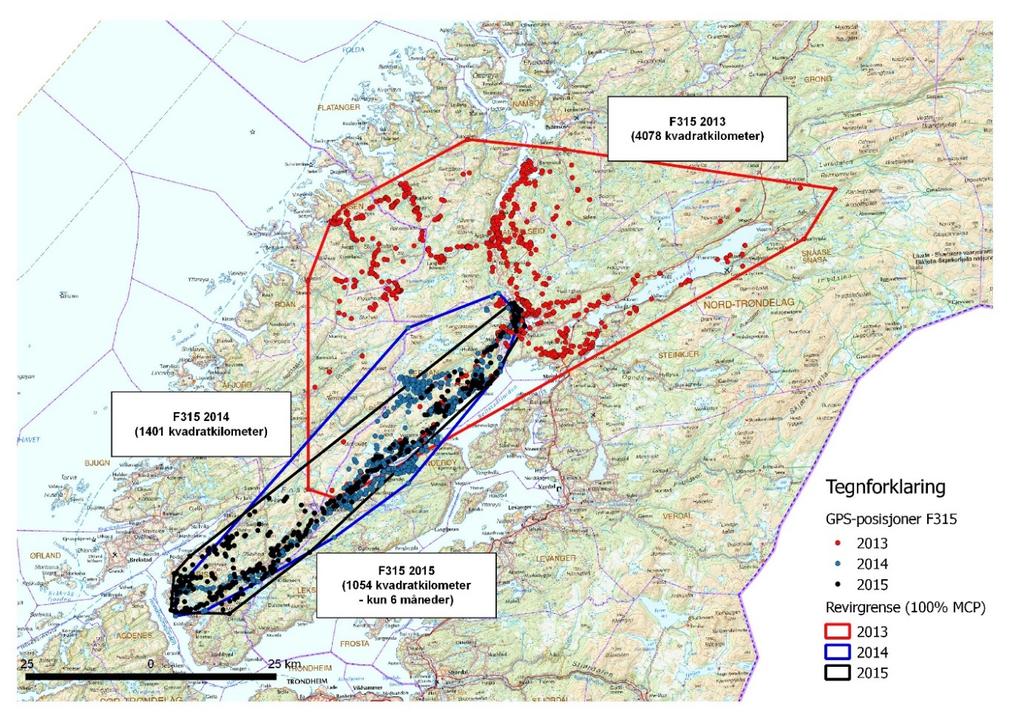 3.12 Leveområder og forflytning hos gaupe De voksne hunngaupene vi har fulgt i Trøndelag og Nordland forflytter seg over areal som varierte fra 1233 km 2 til 4078 km 2 i løpet av ett år beregnet med