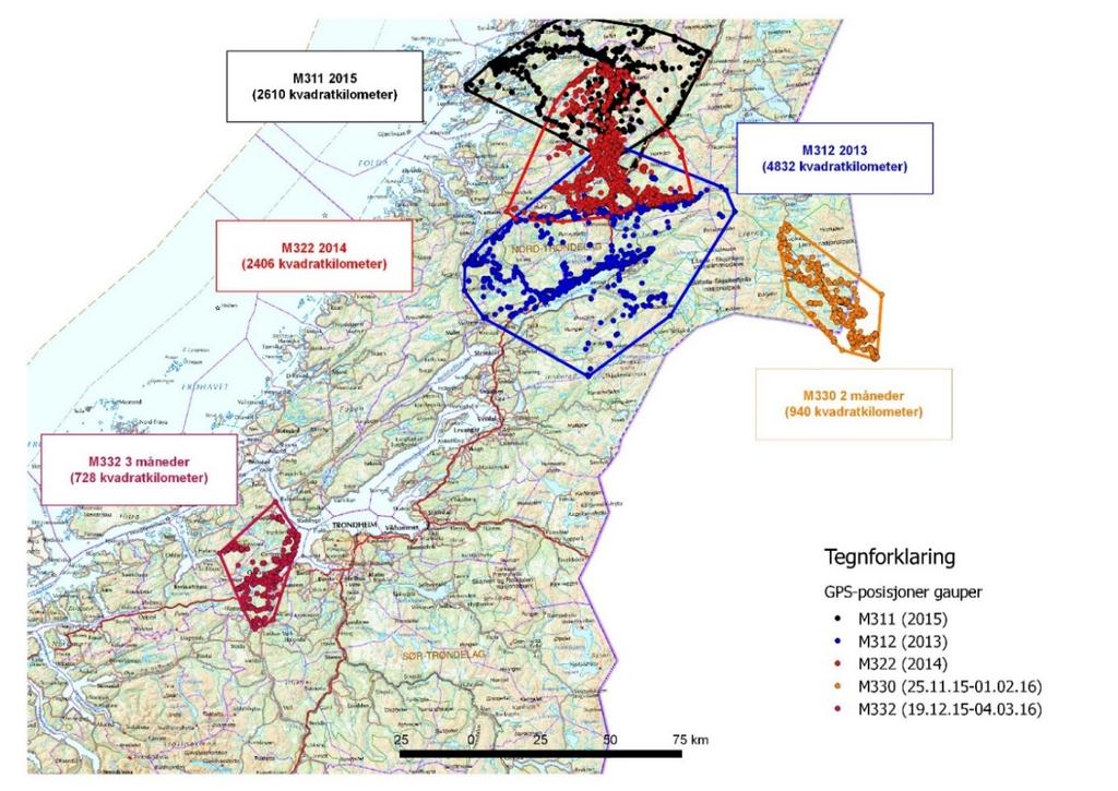 Nordland og tilgrensende områder av