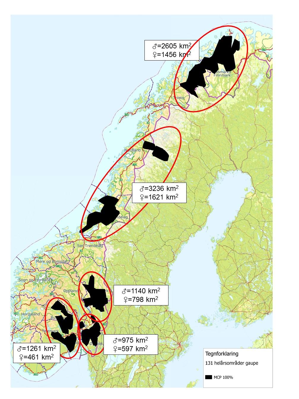 Figur 26. Gjennomsnittlig størrelse på leveområder for gaupe i forskjellige studieområder i Norge. 3.