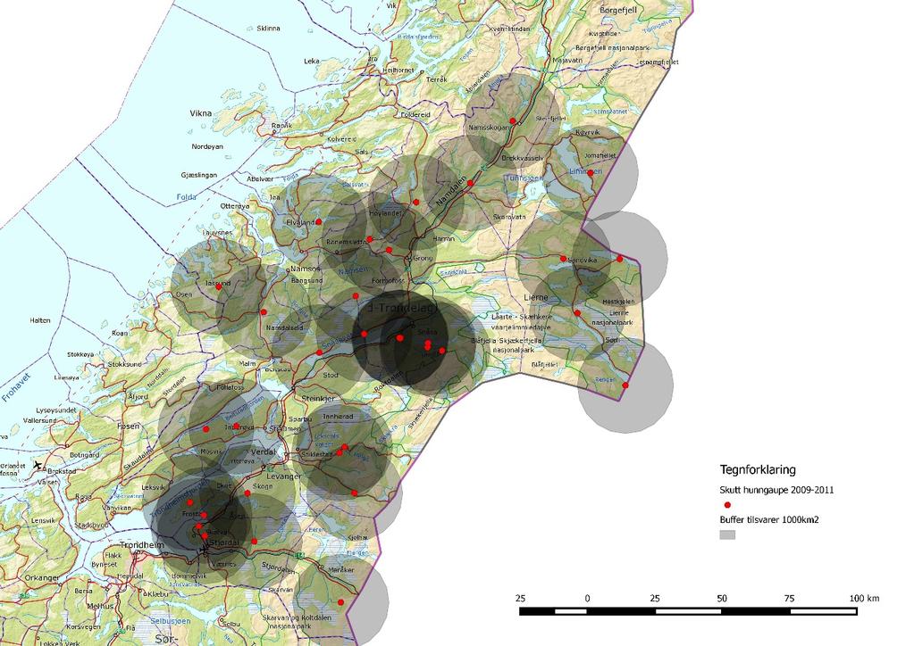 Figur 28. Døde hunngauper i perioden 2009-2011 i Nord-Trøndelag med Fosen. Buffer rundt punktene tilsvarer et areal på 1000 km 2. 3.