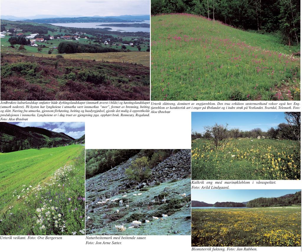 reindrift. De fleste landskap har både en natur- og en kulturdimensjon og det er glidende overganger mellom natur- og kulturlandskap. Det kan derfor være vanskelig å skille mellom dem.