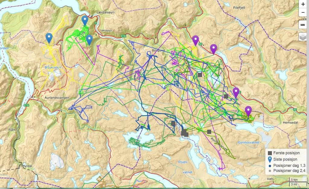 GPS-posisjoner, Nordfjella villreinområde