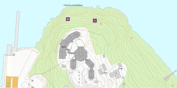 ROS-ANALYSE 12 (14) vurderes til ubetydelig/ufarlig. Det vurderes dit hen at ingen tiltak er nødvendig for utbyggingsområdet.