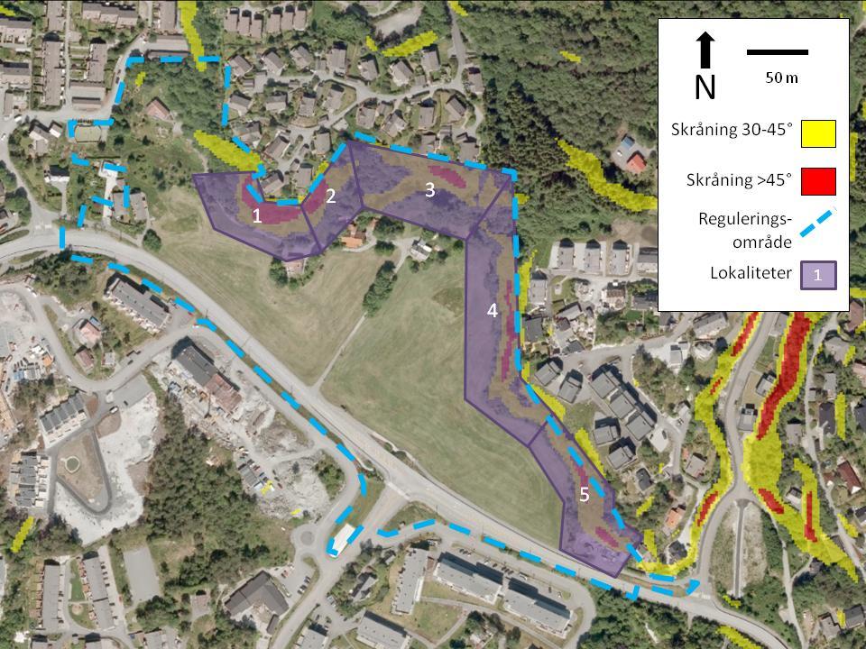 Figur 1: Oversikt over reguleringsområdet på Fagerheim. Området er delt inn i ulike lokaliteter. Brattheten til skråningene er lagt inn som gule og røde soner.