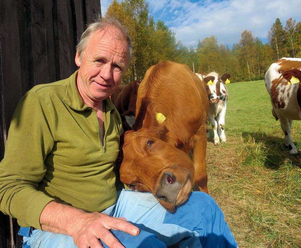 5 Avler for bedre liv. Et ambisiøst, profesjonelt og inspirerende Geno skal bidra til økt konkurransekraft for medlemmer og kunder som Per Kolstad på Tolga i Nord-Østerdal.