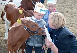 I tillegg har saker som bioklynga i Arena Heidner, oksekatalog-app, Geno Global-samling, oppkjøp av X-sires i Nederland, «Jakten på den perfekte kua» og vedtak om samlokalisering mellom Geno og