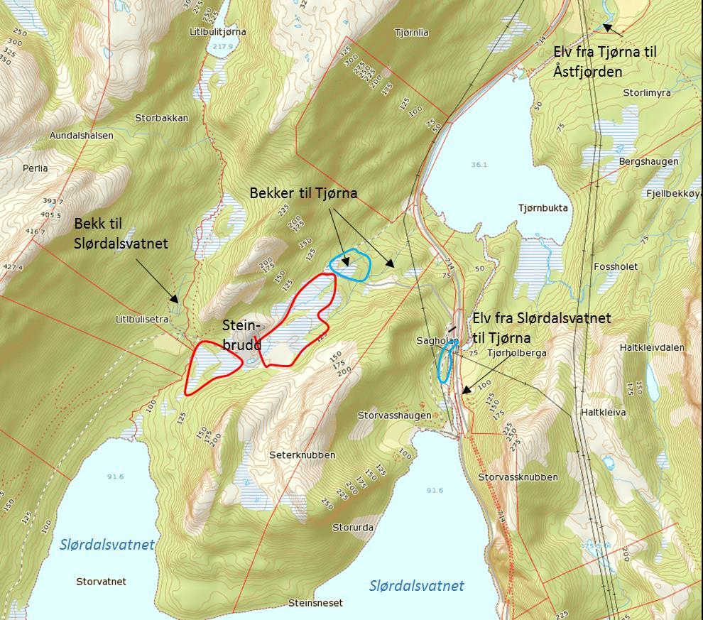 Figur 4.2. Lokalisering av deponiområdene (rød linje) og riggområdene (blå linje) nord for Slørdalsvatnet. Kartet viser også bekker i tiltaks- og influensområdet. 4.1 Tiltaksbeskrivelse Deponiene skal benyttes til permanent deponering av myr og evt.