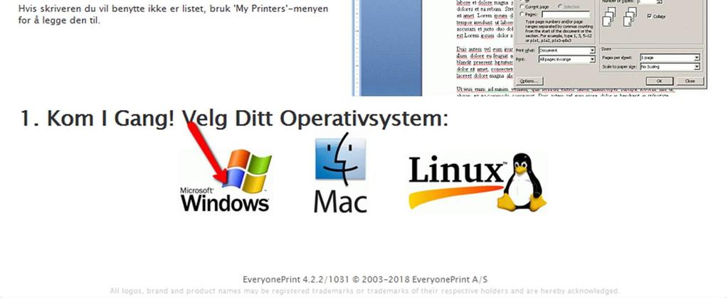 operativsystem dere har.