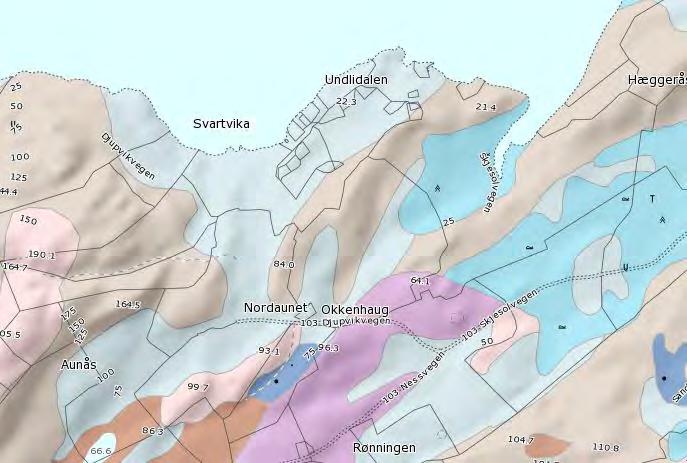 14 (24) KONSEKVENSUTREDNING NATURMANGFOLD Figur 4. Kartet viser at utbyggingsområdet for det meste har tynne løsmassedekker over berggrunnen.