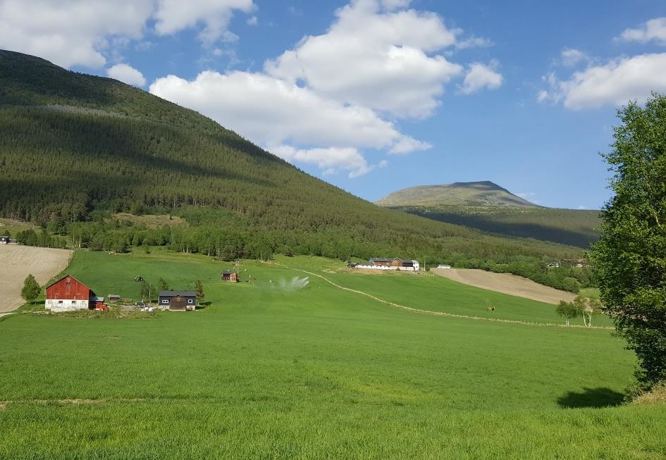 Vi har sett på flere faktorer som påvirker hvordan gårdbrukerne vurderer egen gjeld. Det er en klar sammenheng mellom bekymring for renteøkning og hvorvidt man vurderer gjelda å være stor eller ikke.