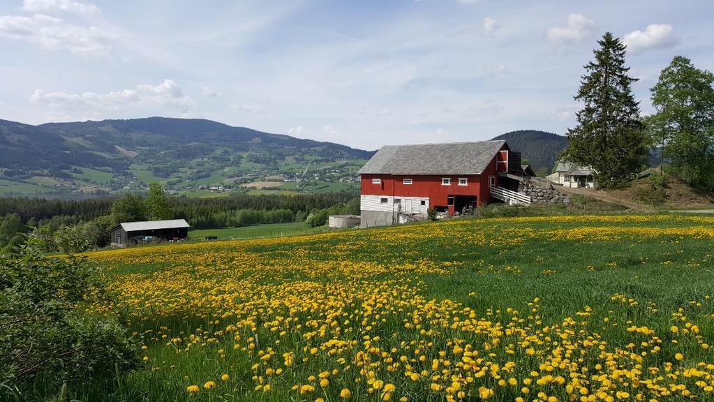 Vi finner signifikante forskjeller mellom regionene når det gjelder å anbefale barna å ta over gården (Figur 34). I alle regionene er det flertall for å anbefale barna å ta over, men andelen varierer.