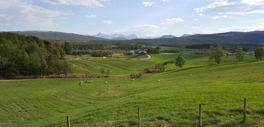 finner den høyeste andelen gårdbrukere som tror bruket mest sannsynlig er nedlagt som selvstendig enhet om 20 år.