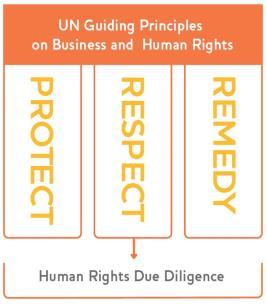 human rights due dilegence.