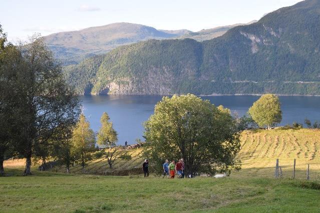 I dag er det helst innmarka som vert slått, men i gamle dagar var utmarksslåtten minst like viktig. I utmarka står det fem utløer som understrekar dette.