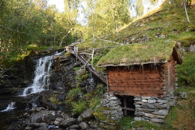 På ein gard høyrer også dyr til. På Ytste Skotet finn vi geiter, sauer, høner og katter.