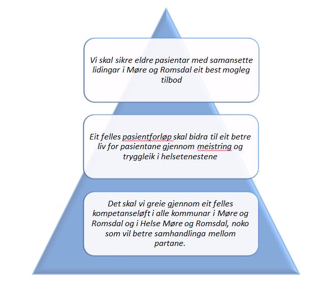 Hovudbodskap: «Vi skal sikre eldre pasientar med samansette lidingar i Møre og Romsdal eit best mogleg tilbod som er prega av pasientsikkerheit og tryggleik.