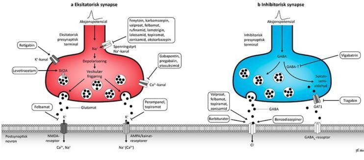 Behandling - idag Antiepileptika ca 30 https://oslo-universitetssykehus.