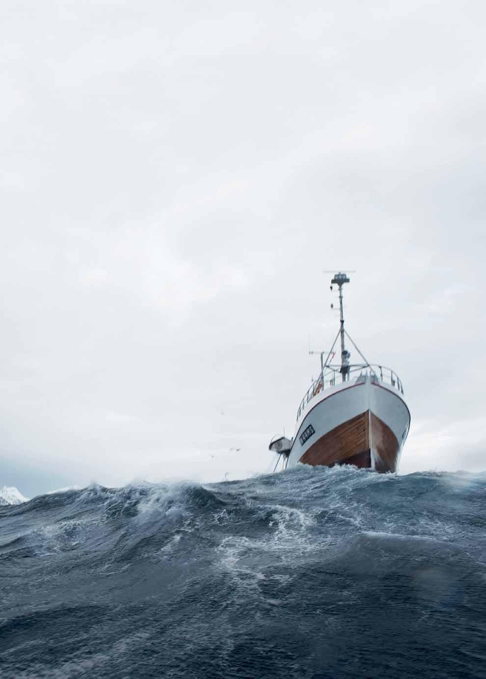 Kortreist sjømat landet rundt Tromsø, Bodø, Trondheim,