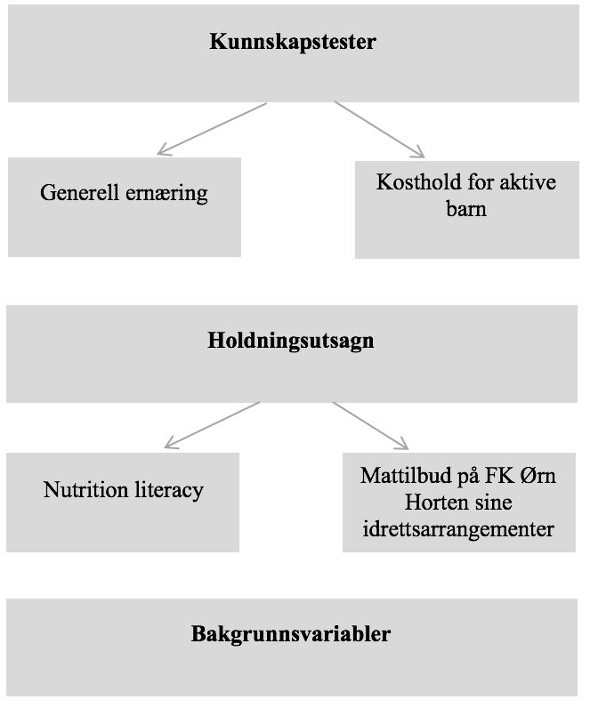 Figur 1: Oppbygging av spørreskjema. Figur 1 viser en oversikt over spørreskjemaets oppbygging, med de to kunnskapstestene og holdningsutsagnene fordelt på de to tematiske delene.