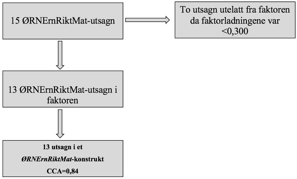 4.11 Etablering av faktoren ØRNErnRiktMat 3 og tilslutt konstruktet ØRNErnRiktMat Figur 19: Flytdiagram for etablering av faktoren ØRNErnRiktMat og konstruktet ØRNErnRiktMat.