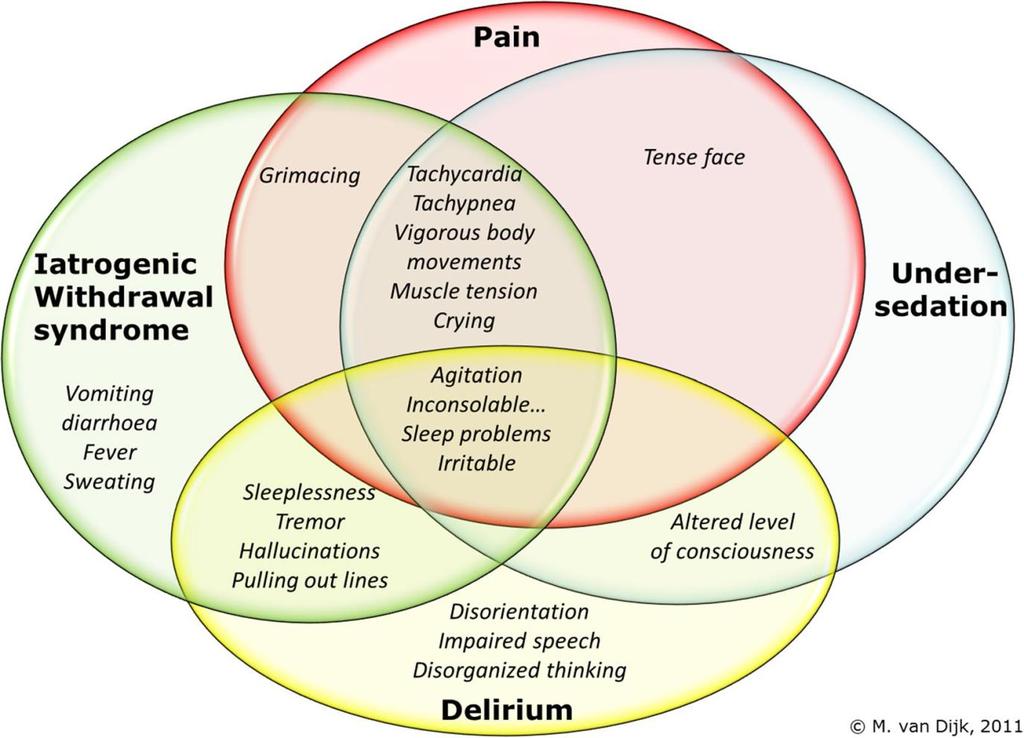 Utfordringer Figuren er hentet fra Clinical recommendations for pain, sedation, withdrawal and delirium assessment