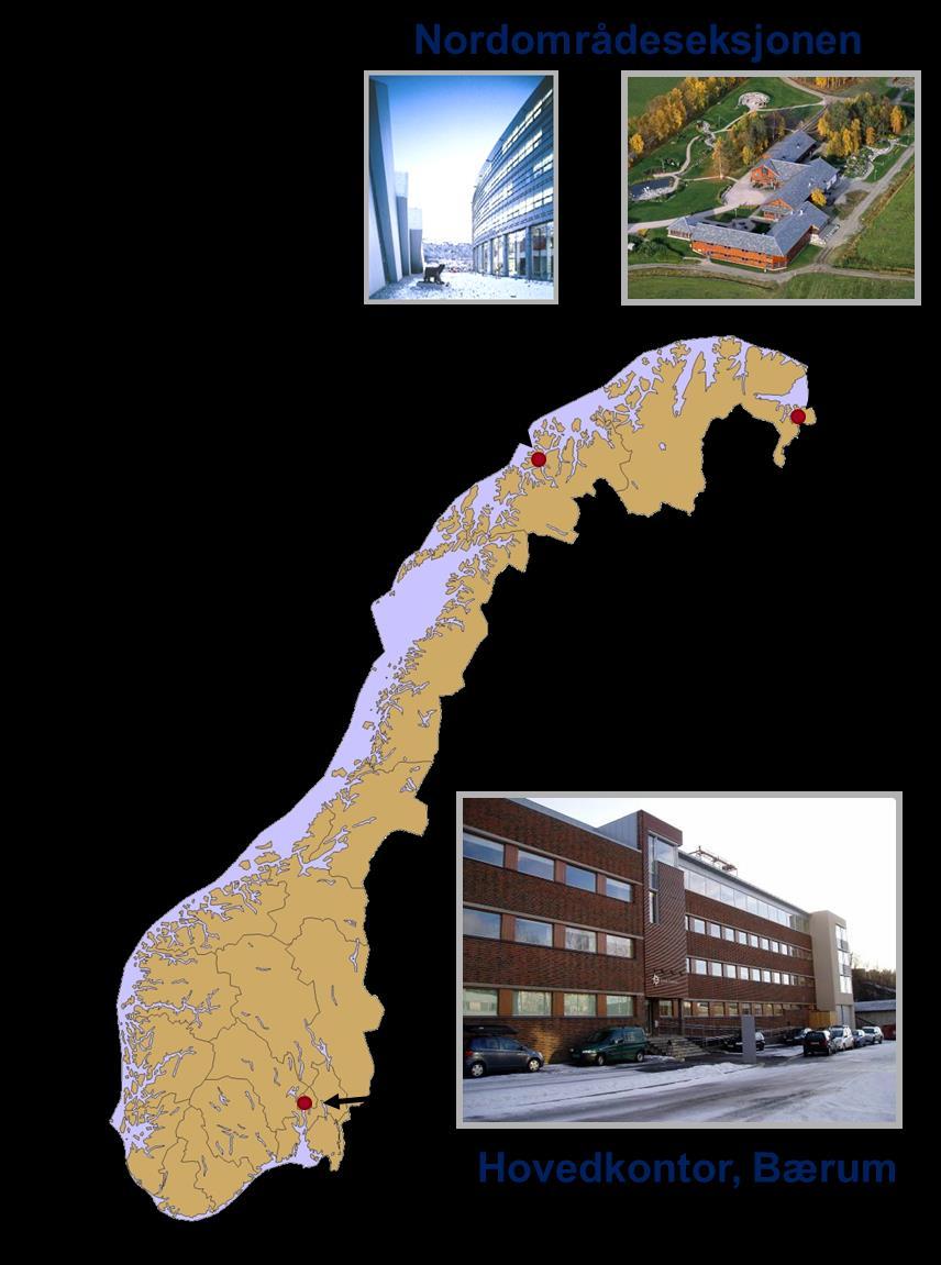 Statens strålevern Statens strålevern er Norges myndighet og