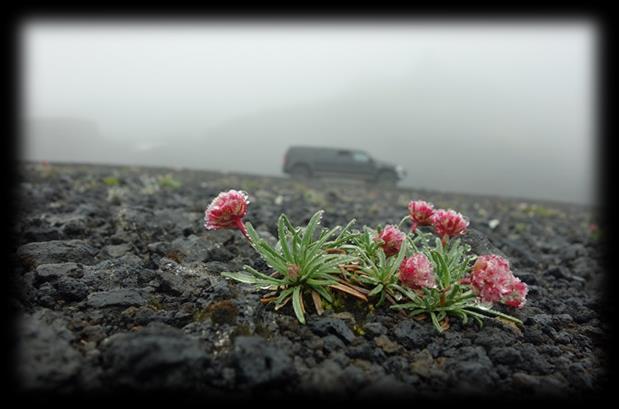 Jeepsafari på Island - er en reise hvor du får oppleve det «Ultimate Island» «Að fjallabaki».dette er et område på Sør-Island som tilhører den sydlige delen av Islands høyland.
