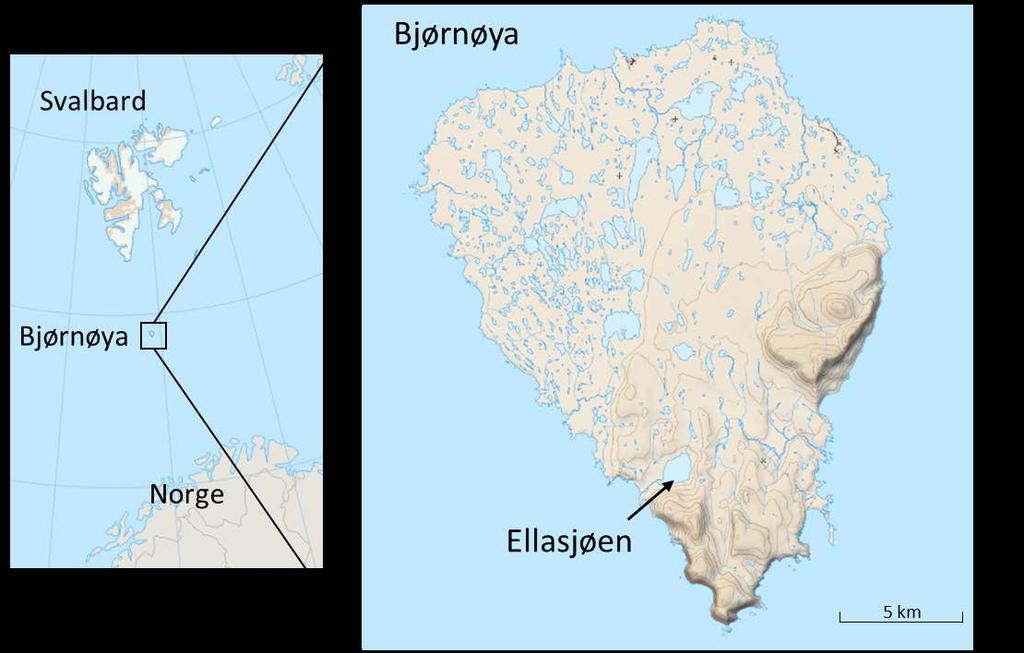 1.2 Områdebeskrivelse Ellasjøen ligger i den sørlige og fjellrike delen av Bjørnøya, mens Øyangen som ofte har blitt brukt som referansesjø ligger på slettelandskapet lengre nord (Figur 2).