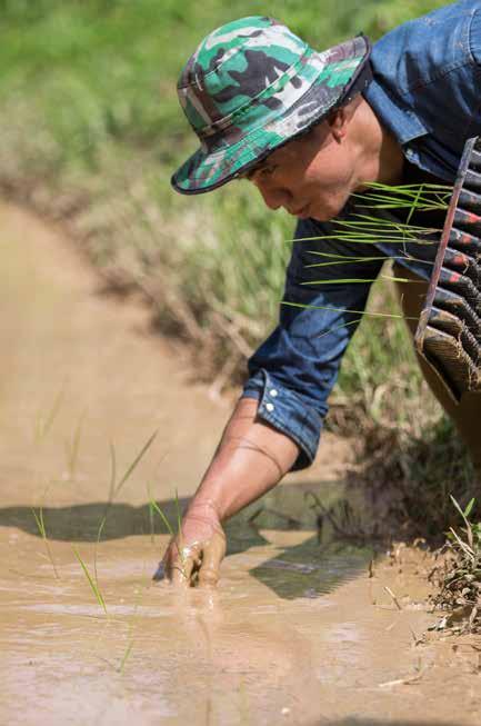 MYANMAR 184.054 MENNESKER HAR FÅTT HJELP I 2017 Samtidig som brudd på menneskerettighetene har eskalert i Myanmar, har du bidratt med mat til de på flukt i eget land.