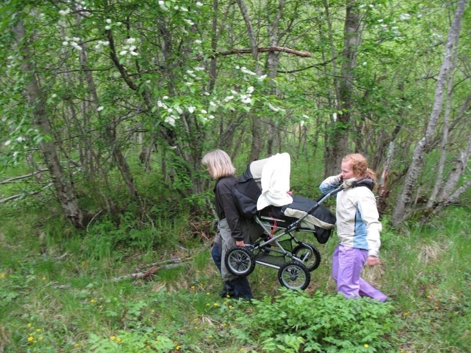 Tiltak for mennesker med særlige behov Tilgjengelighet til (offentlige) friluftslivsområder Alle har rett til friluftslivsaktivitet og naturopplevelser ut fra