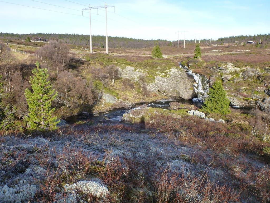 Området for magasin i Fossåa. Foto mot NV. Konklusjon Tiltaksområdet der det planlegges inngrep i grunnen i forbindelse med Fossåa kraftverk ble befart.