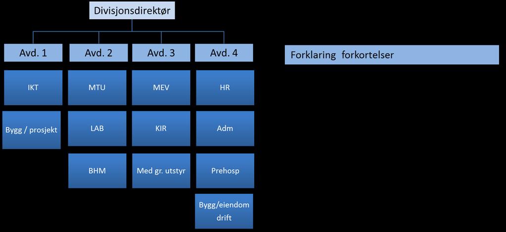 3. FORSLAG TIL LIK ORGANISASJONSSTRUKTUR I HVER DIVISJON I dette avsnittet gjøres det kort rede for hvordan divisjonene organiseres.