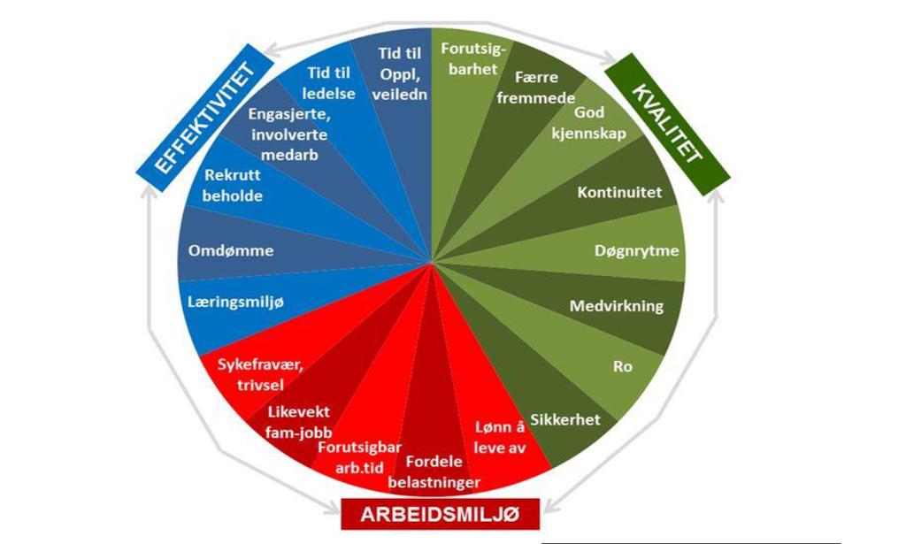 Utnytte ubenyttet, kompetent arbeidskraftpotensiale Fremme et godt og lærende arbeidsmiljø, som frigir tid til ledelse.