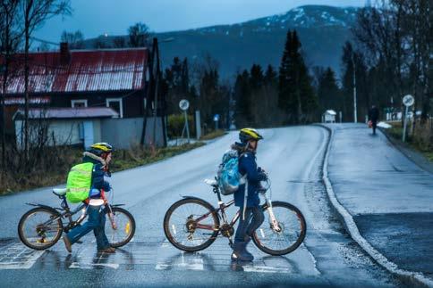 Analyse for trafikksikker skoleveg, 18 barneskoler Gåing, sykling, trafikksikkerhet 1,0 mill. kr.