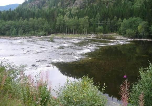 Et nytt kraftverk som vil utnytte minstevannføringen er derfor planlagt rett nedstrøms Rødbergdammen. En naturlig barriere hindrer uansett fisken i å gå helt opp til Rødbergdammen.