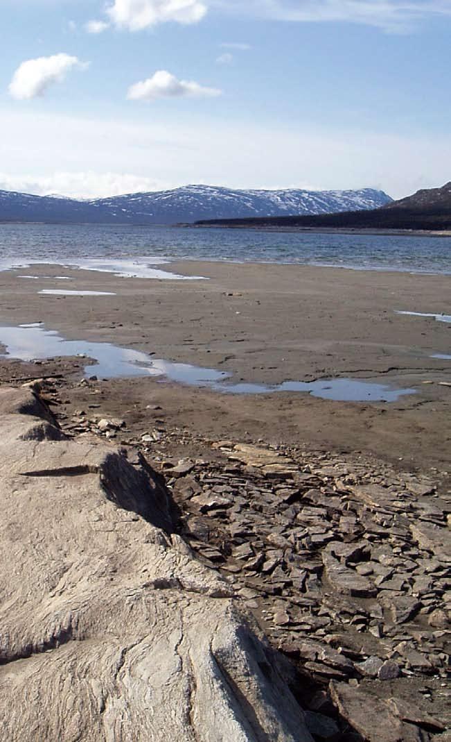 Kraftig vannføringsreduksjon i Litledalselva Kraftig vannføringsreduksjon i Aura Magasinet består av 3 tidligere innsjøer: Aursjøen, Grønningen og Gautsjøen Takrenner med overføringstunnel i Aursjøen