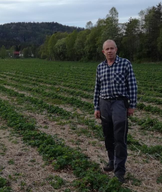 Sal frå garden er med å lyfte prisen på det som blir produsert. På Homme er det gardsbutikk der kundane sjølv finn varane og betalar for seg. I bærsesongen er det og sal direkte frå bærfelta.