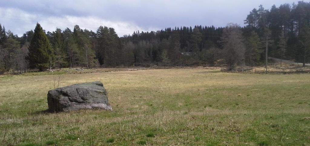 Grøfting og nydyrking Vi kommer på befaring, og utarbeider grøfteplan om behov.