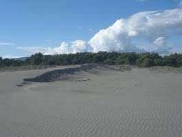 Obalni pojas sa fluvijalnom površinom u zaleċu pokriven je pijeskom veoma sitne granulacije koji u more dospjeva sa tokom rijeke Bojane. Površina ovog pojasa iznosi 6,3 ha.