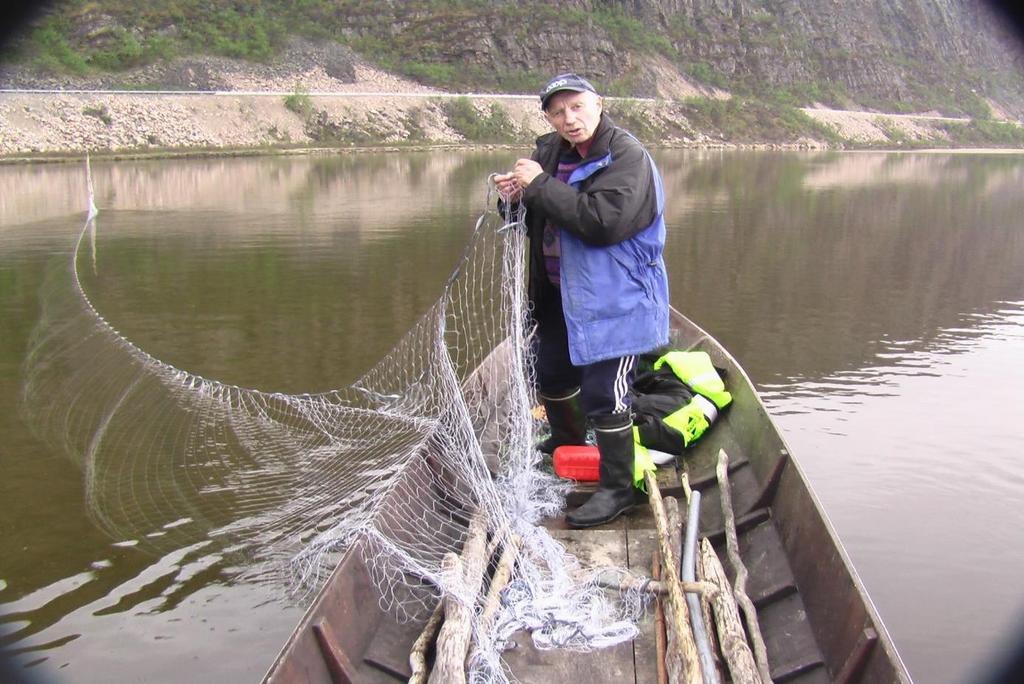 sannsynlig vandre ut til havet i 2022. Det er imidlertid stor variasjon i både temperatur og fødetilgang i de ulike sideelver og bekker i Tanavassdraget, og variasjonen i smoltalder er på 2-8 år.