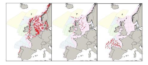 dernest vågehval (15 000 individer, først og fremst i den vestlige delen av Nordsjøen og rundt de britiske øyene).