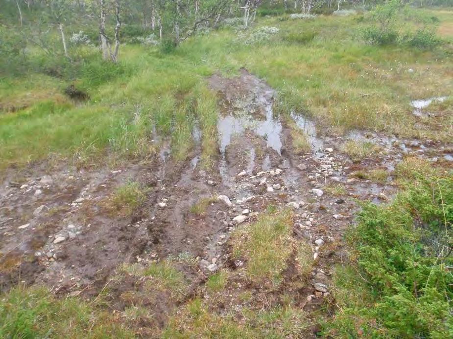 Bilde 1: Kjøreskader på kjøresporene mellom Nedre Dølvad og Støsetra i 2013. Foto: Kvikne fjellstyre. Kvikne Utmarksråd sendte i e-post 06.10.