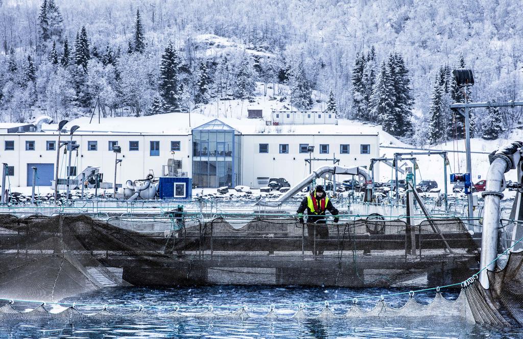 Foto: Espen Mortensen, Gratangslaks AS Hva er Havbruksfondet og hvordan spres midlene?