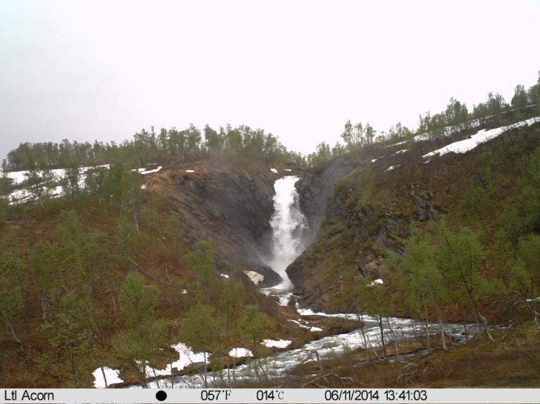 enn på nordsida, Observasjoner under befaringen og bilder som er tatt i perioden mellom 5. juni og befaringsdatoene (24.