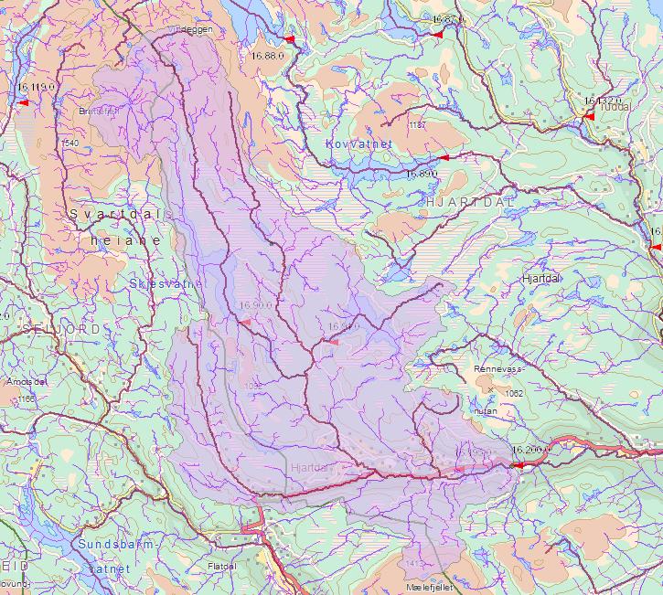 4.2.2 Vannføring i Hjartdøla nedenfor Hjartsjø i naturlig og regulert felt Hjartdøla nedenfor Hjartsjø naturlig felt har et areal på ca. 220 km 2 som det skal beregnes vannføring for (se Figur 4).