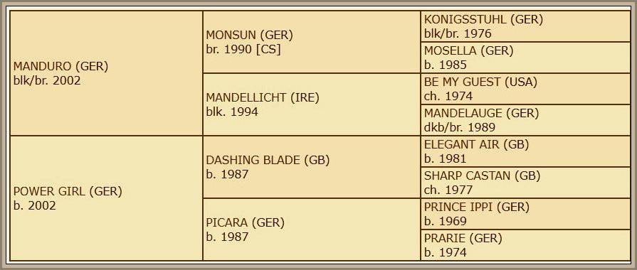 Hans far Manduro (Foto: Darley / Haras du Logis) ble matchet av Frankrikes desidert mest suksessrike galopptrener, Andre Fabre, og resultatene viser at Manduro, sønn av den tyske stjernehesten