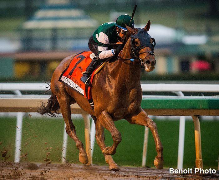 Den fem år gamle sønnen av Lookin At Lucky har forbedret seg kollosalt denne sesongen, med imponerende seire i San Pasqual Stakes (G2), Santa Anita Handicap (G1) og Gold Cup at Santa Anita (G1) de to