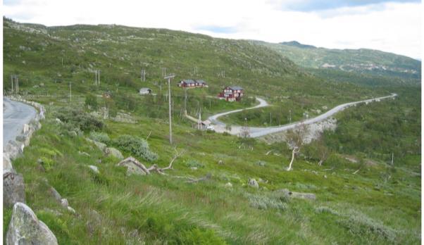 Høgfjellsdalane har ein typisk U-form, dvs. med til dels flat dalbotn og slake dalsider.