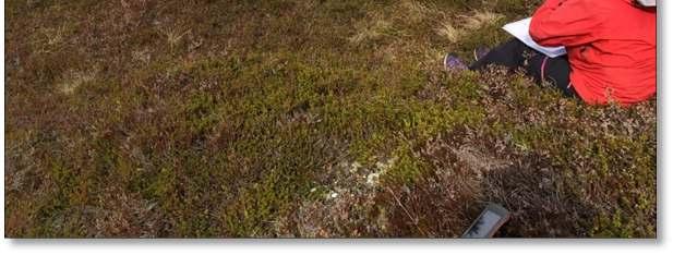 De forteller om samspillet mellom mennesket og naturen, og gjør området rikere.