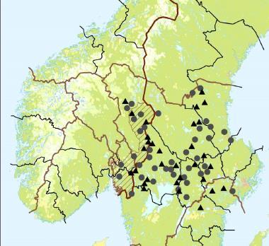 Protokoll for møte i Rovviltnemnda 19. juni 2018 Side 9 av 12 Figur 4. Registrerte familiegrupper (sirkel) og revirmarkerende par (trekant) i Skandinavia vinteren 2017-2018.